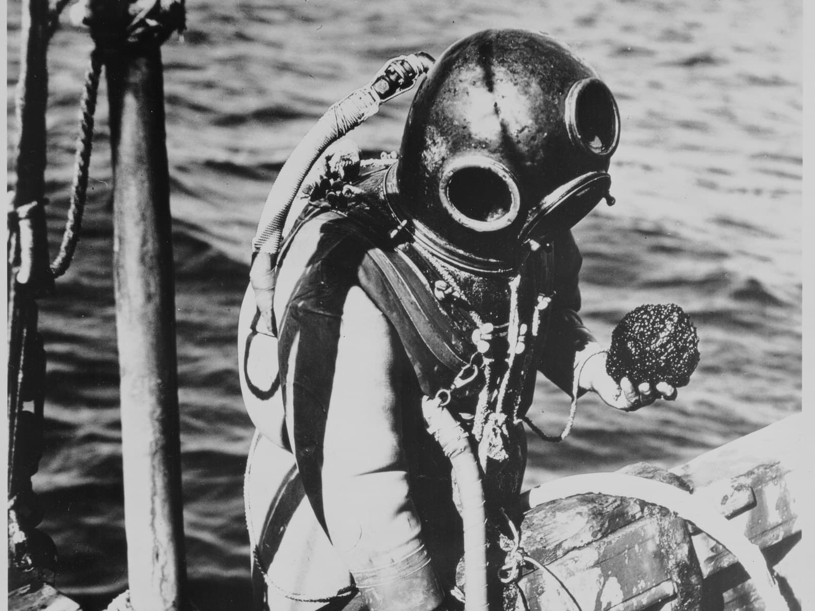 A diver climbing back aboard with a sponge in his hand, January 1944