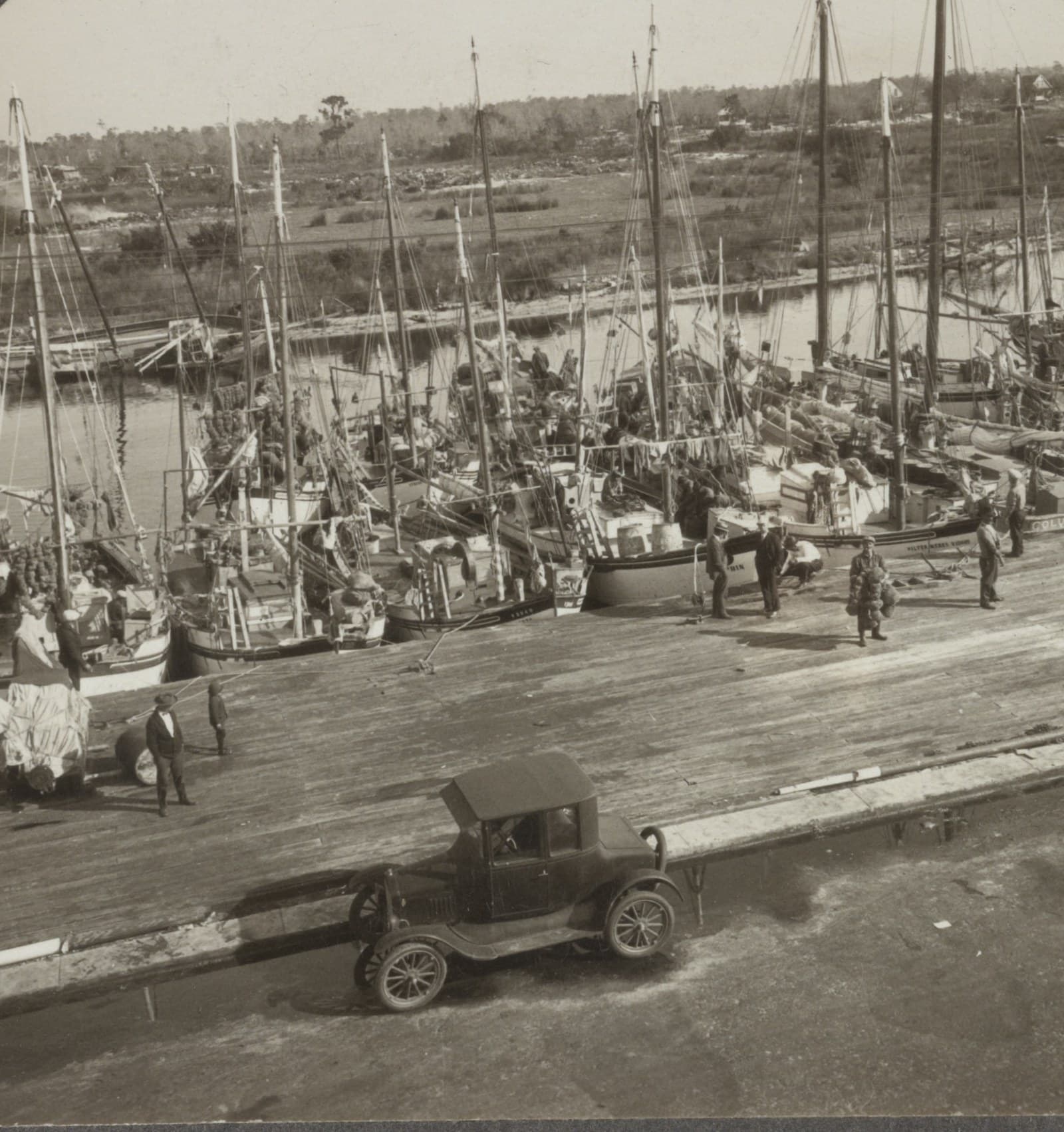 The sponge fleet at the docks, 1928