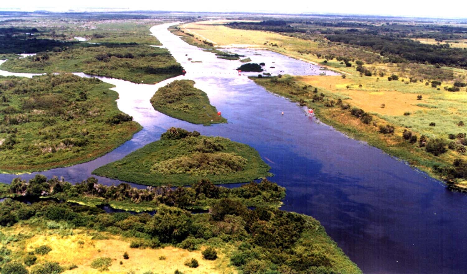 A 1995 aerial photograph of the straight C-38 canal with a remnant loop of the old Kissimmee River beside it.
