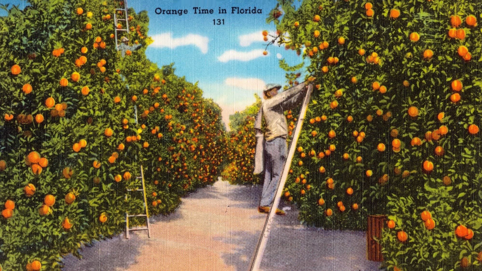 Is Florida Still the Orange State?