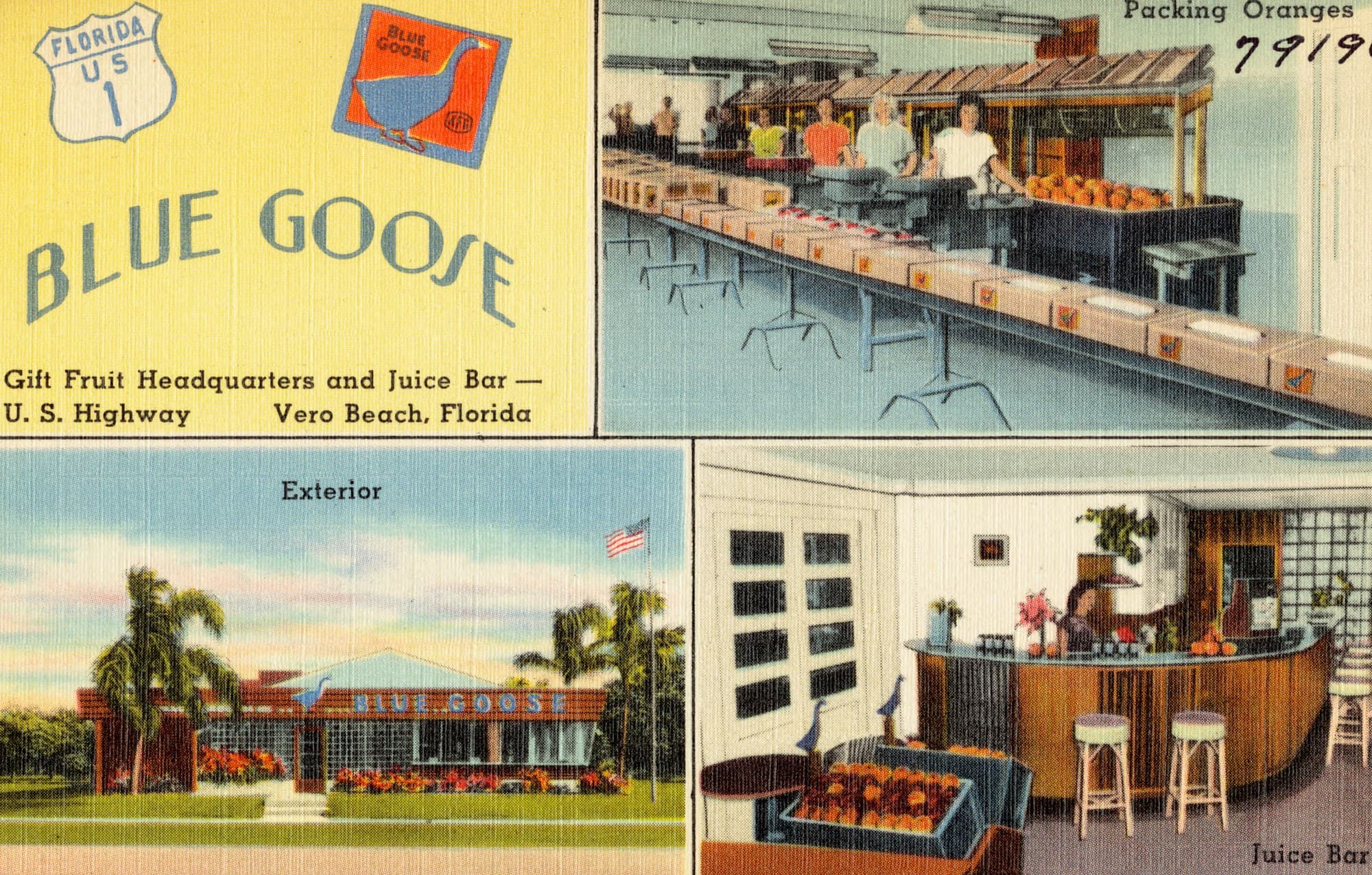 A three panel postcard for the Blue Goose gift fruit house in Vero Beach, showing the packing line, the building exterior, and the juice bar.