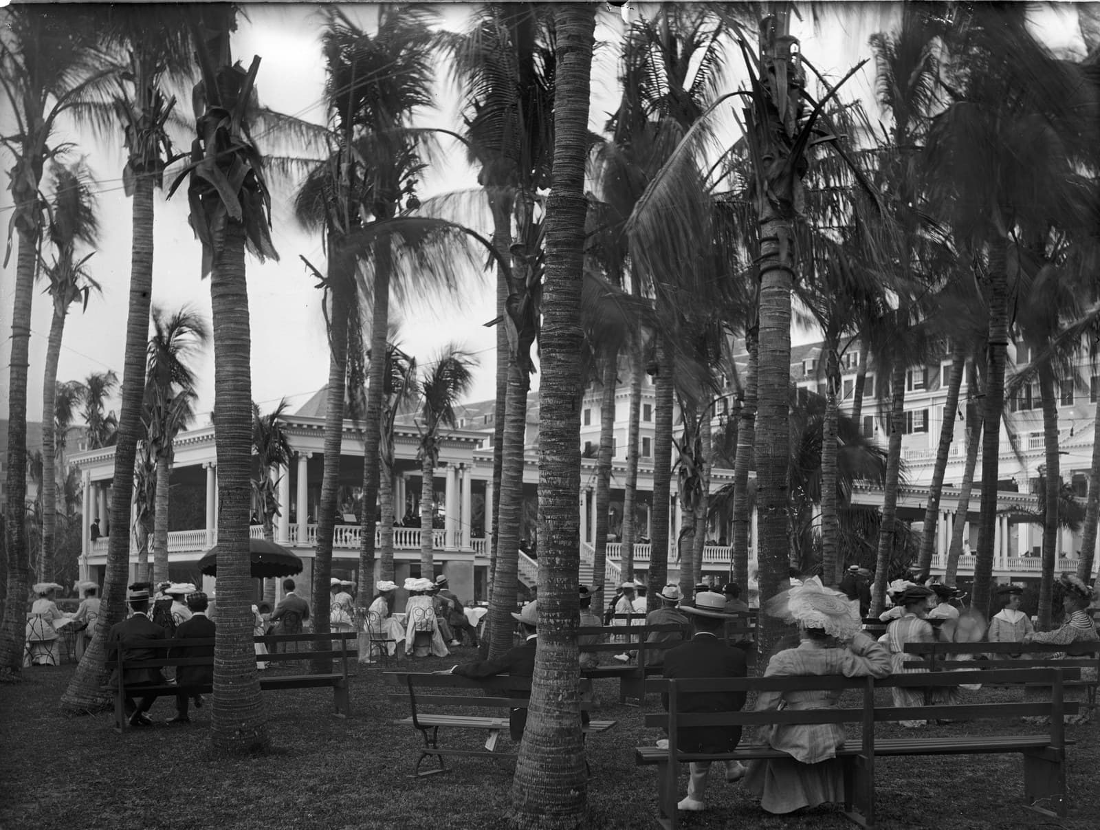 The afternoon concert on the lawn, about 1904