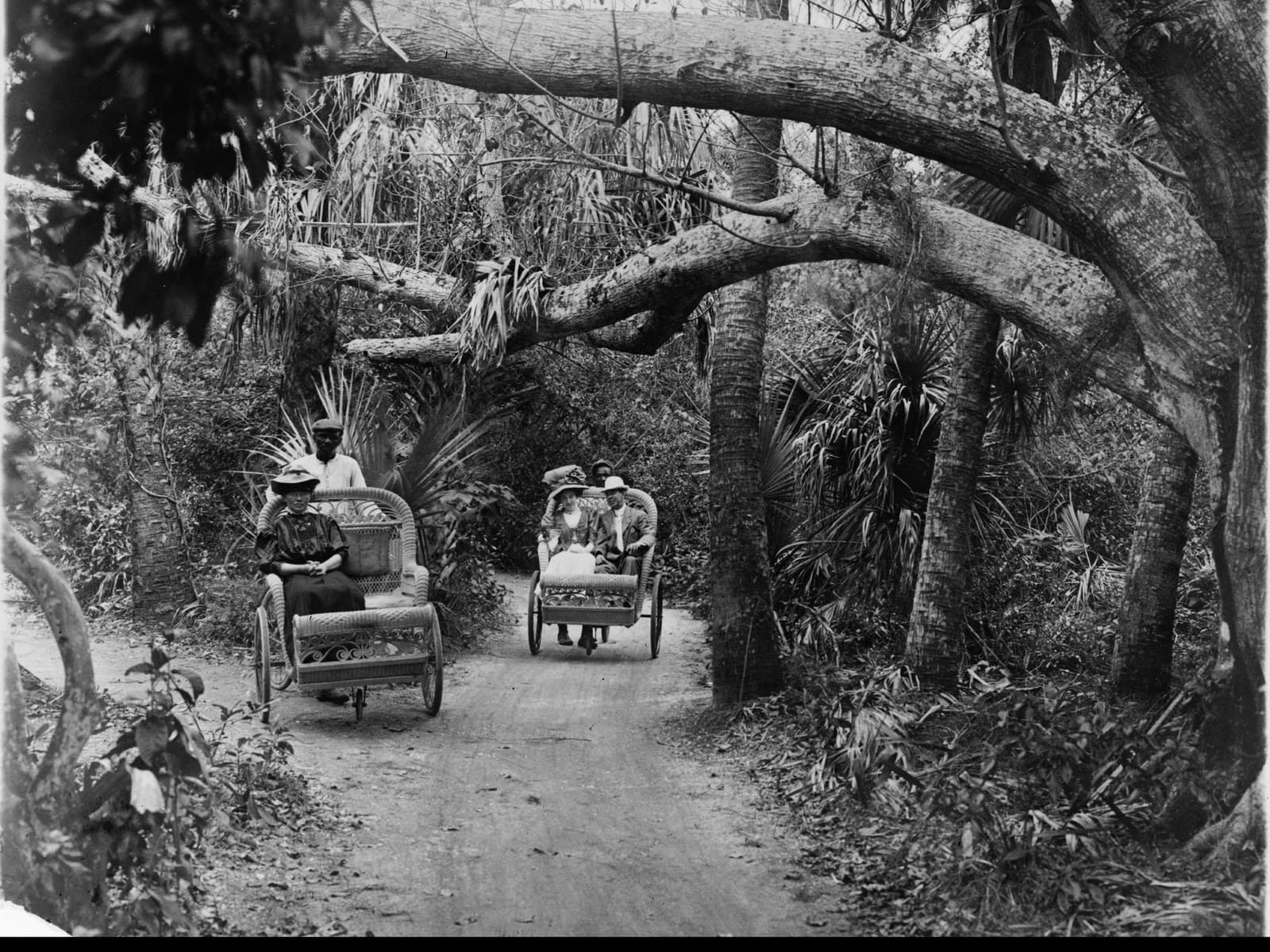 Guests in the pedaled wheelchairs that were the island's transport, about 1909